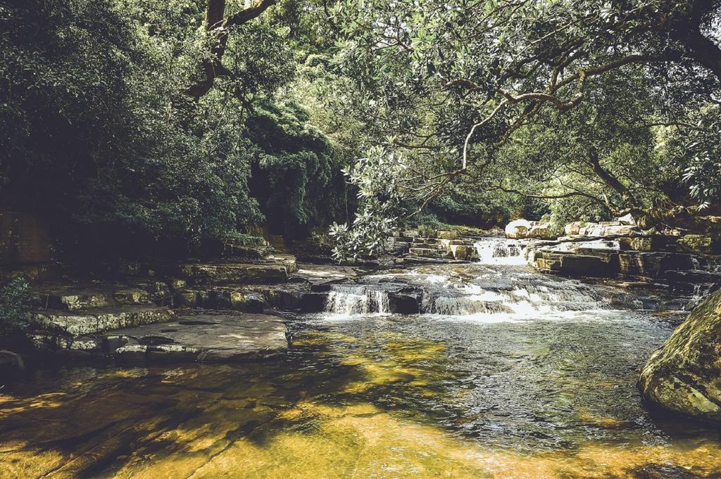 Mountain Villa Riverston Matale Bagian luar foto