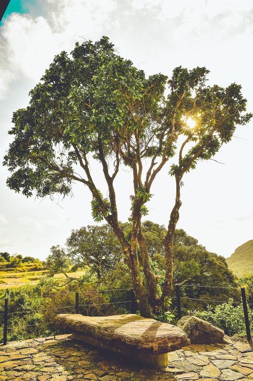 Mountain Villa Riverston Matale Bagian luar foto